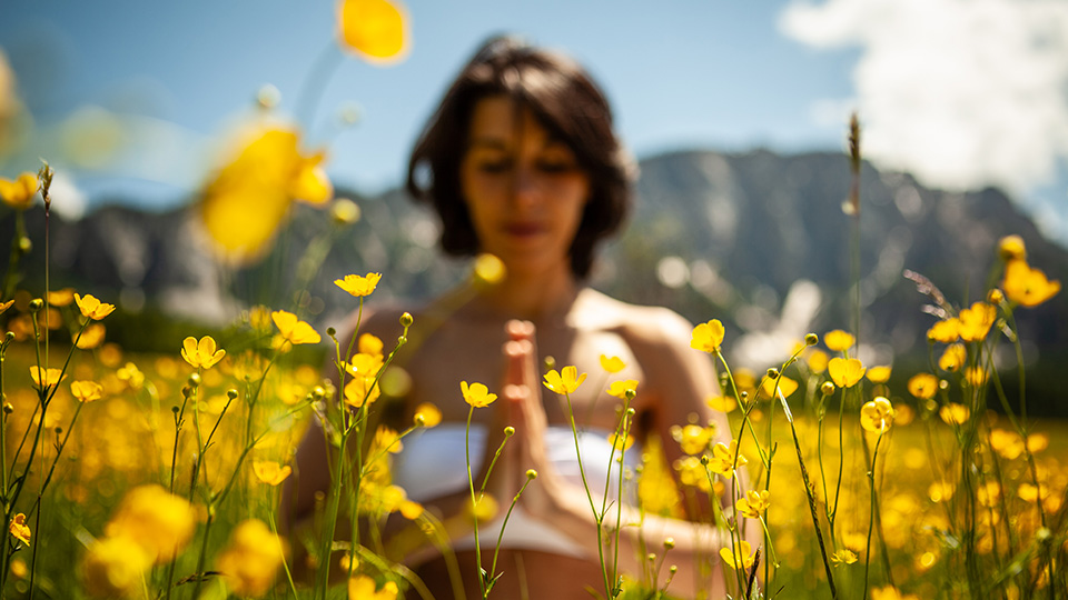 Meditating in an alpine meadow of buttercups, hands joined at the heart
